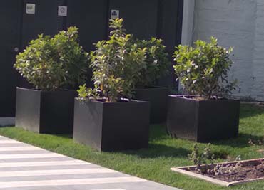 Maceteros Autorregantes para Constructora Paz Corp