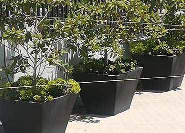 Condominio Terralta con Maceteros de Fiberglass en proyecto inmobiliario