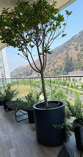 fabrica de maceteros de fibra de vidrio