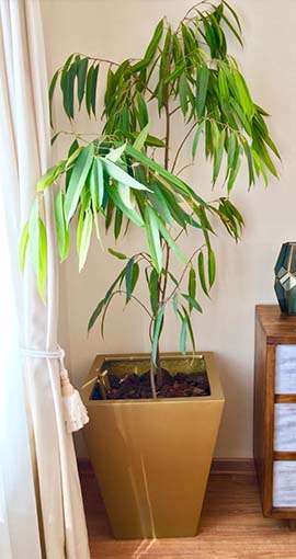 fabricamos varios modelos de maceteros autorregantes