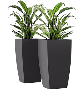 maceteros cubos autorregantes