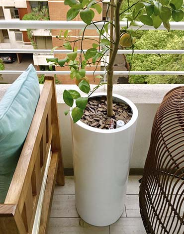 Maceteros autorregantes en forma de Cilindros altos en fibra de vidrio