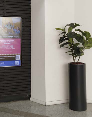 Maceteros Cilindros en fibra de vidrio