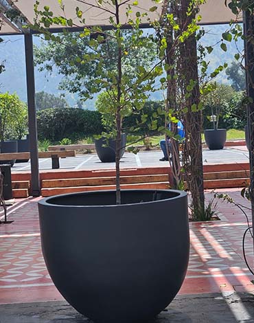 Maceteros Bol en fibra de vidrio