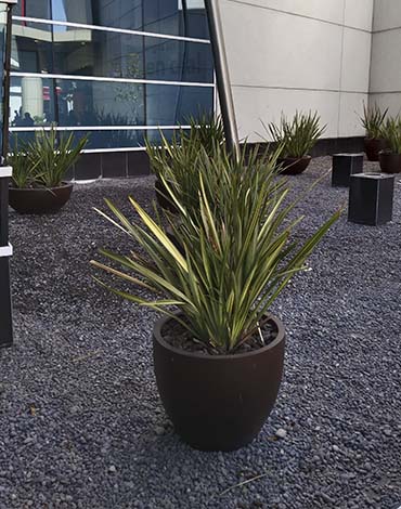 Maceteros Bol en fibra de vidrio autorregantes