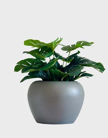 Maceteros bolones en fibra de vidrio