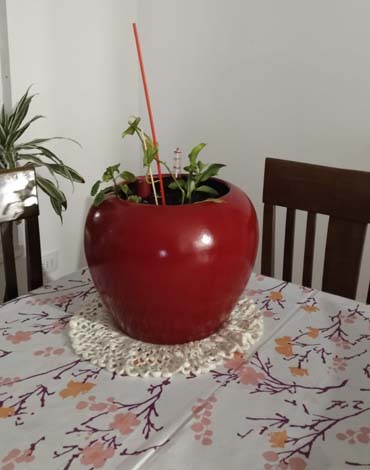 Maceteros bolones en fibra de vidrio