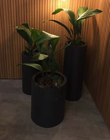 Maceteros Cilindros en fibra de vidrio