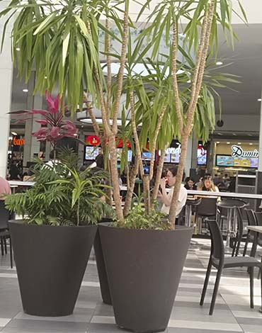 Maceteros Conos en fibra de vidrio