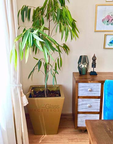 Maceteros Pirámides en fibra de vidrio