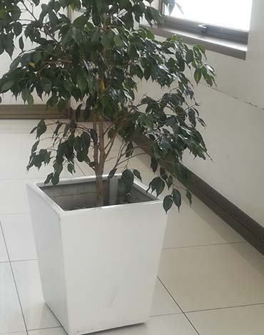 Maceteros Pirámides en fibra de vidrio